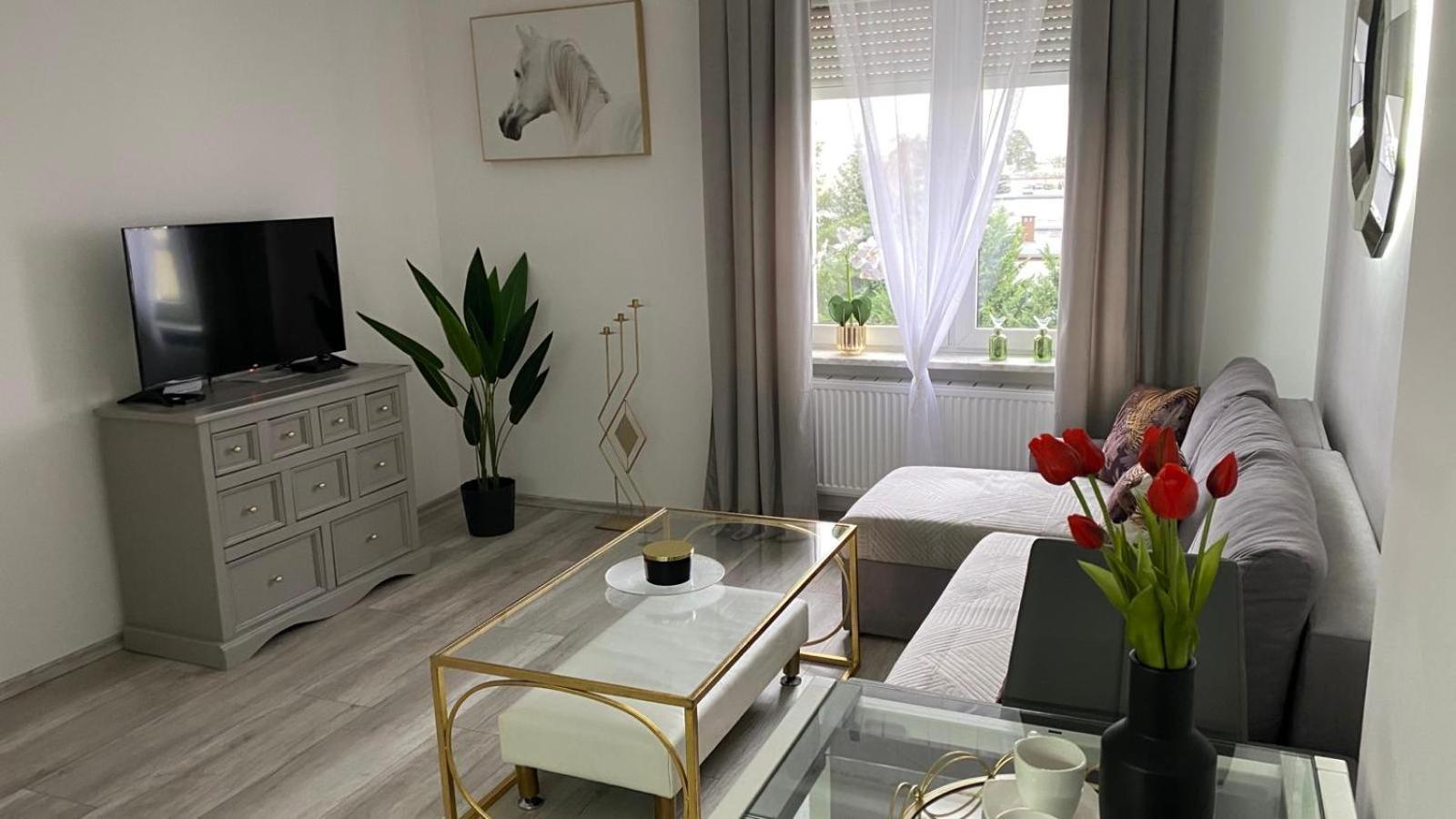 Apartament Gdanska 230 比得哥什 外观 照片
